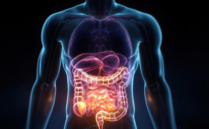 Gastrointestinal Health