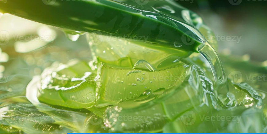 Screenshot 2025-08-30 195114 aloe vera gel